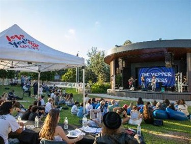 Crowd Photo - Youth Week Battle of the Bands 2024