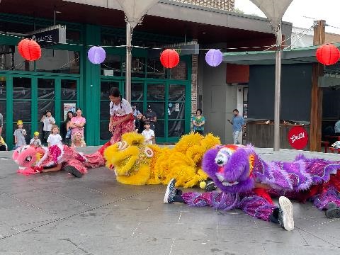 Baby Ra Ra Lions at Lunar New Year celebrations at Lane Cove Plaza