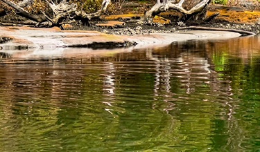 Burns Bay Reserve