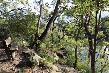 Lane Cove River