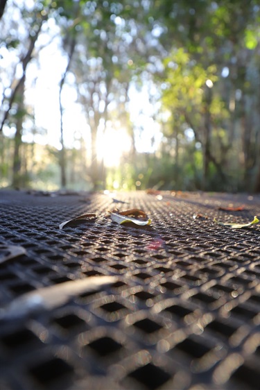 Lane Cove River