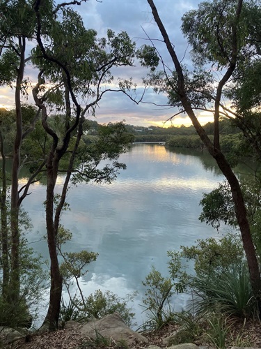 Lane Cove River