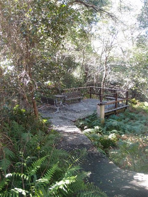 Boardwalk and viewing deck in bushland