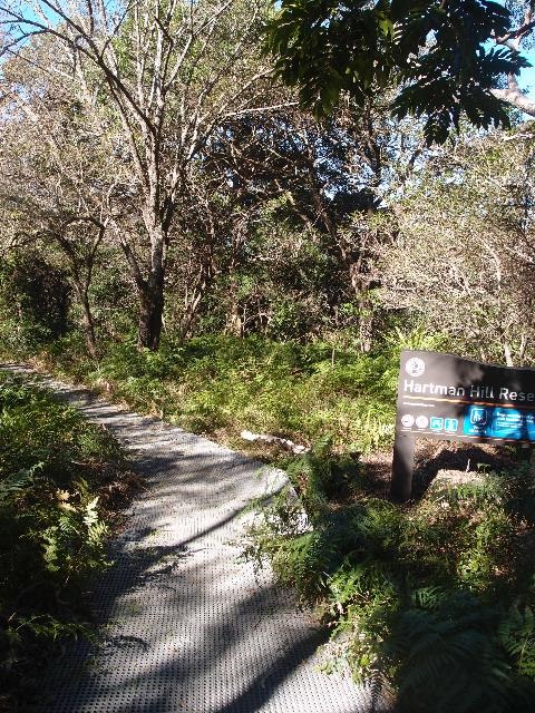 Hartman Hill boardwalk and sign 