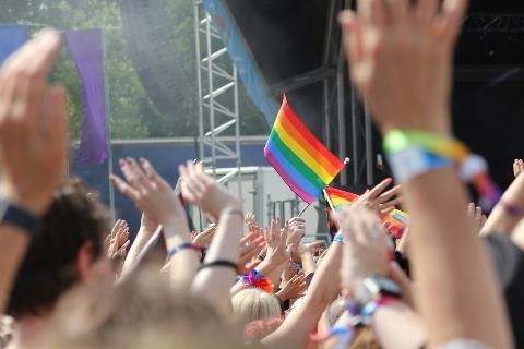 People at an outdoor concert holding rainbow Pride flags