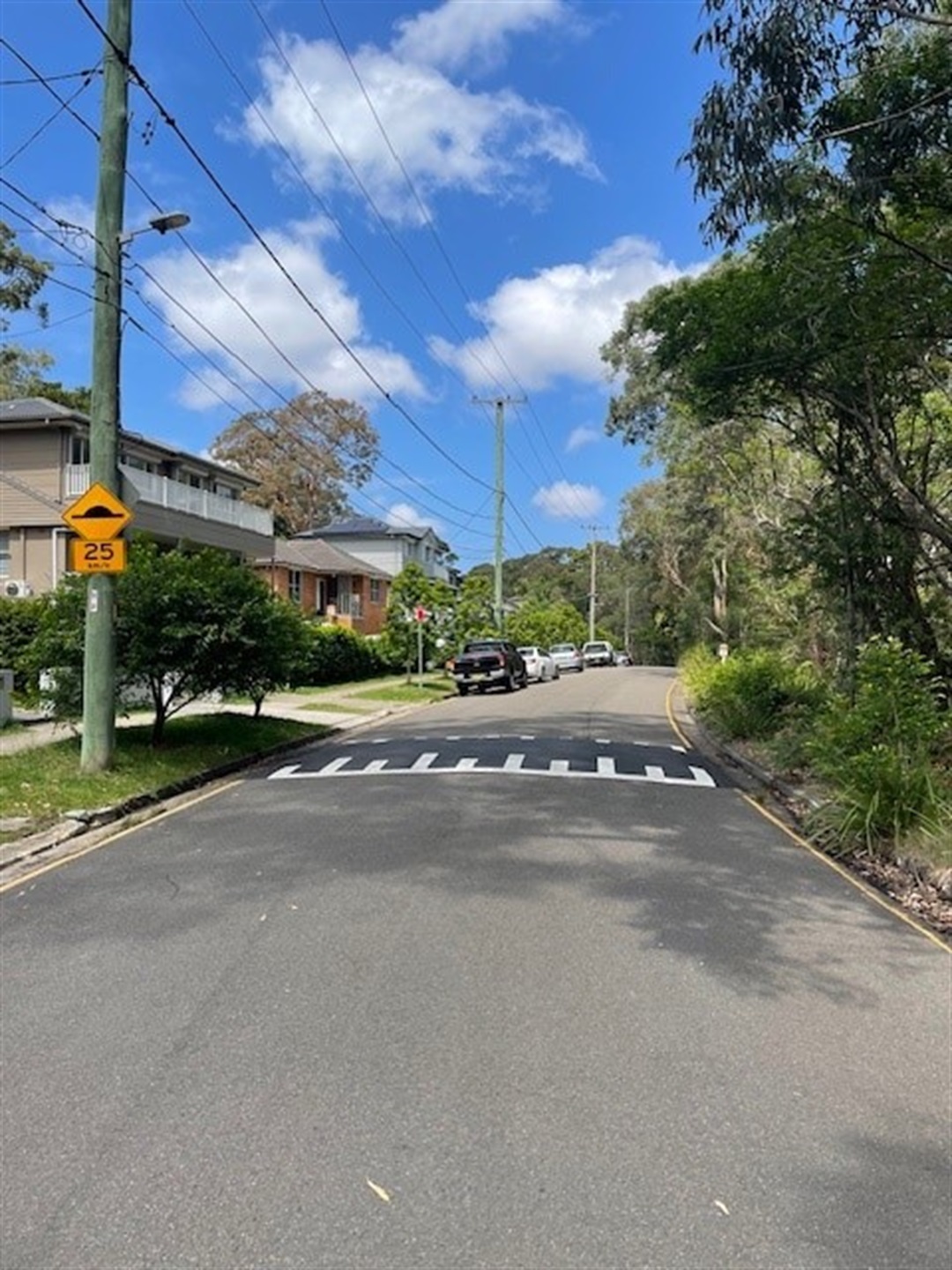 Lane Cove North slows down for safety | Lane Cove Council