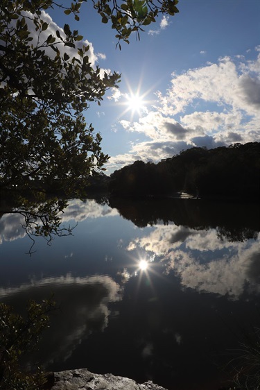 Lane Cove River