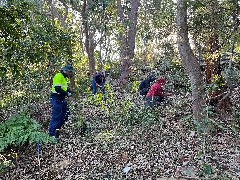 Volunteers working on site