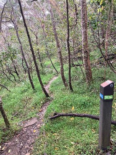 Bush track and bollard at Bushcare site