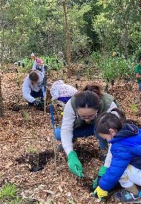 Families planting seedlings in reserve